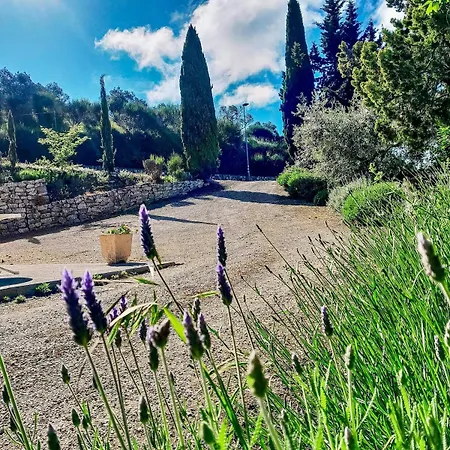 Apartamento Nonna Regina, House In Umbria Collemancio